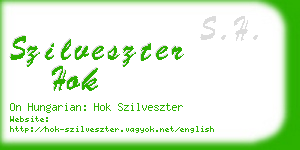 szilveszter hok business card